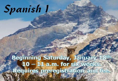 Spanish level 1 Jan 2020