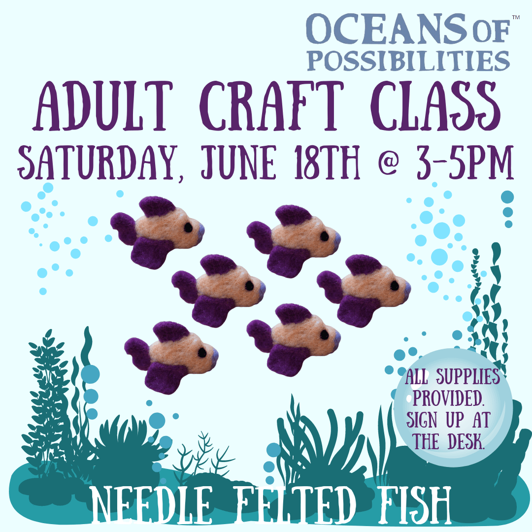 Adult Craft Class