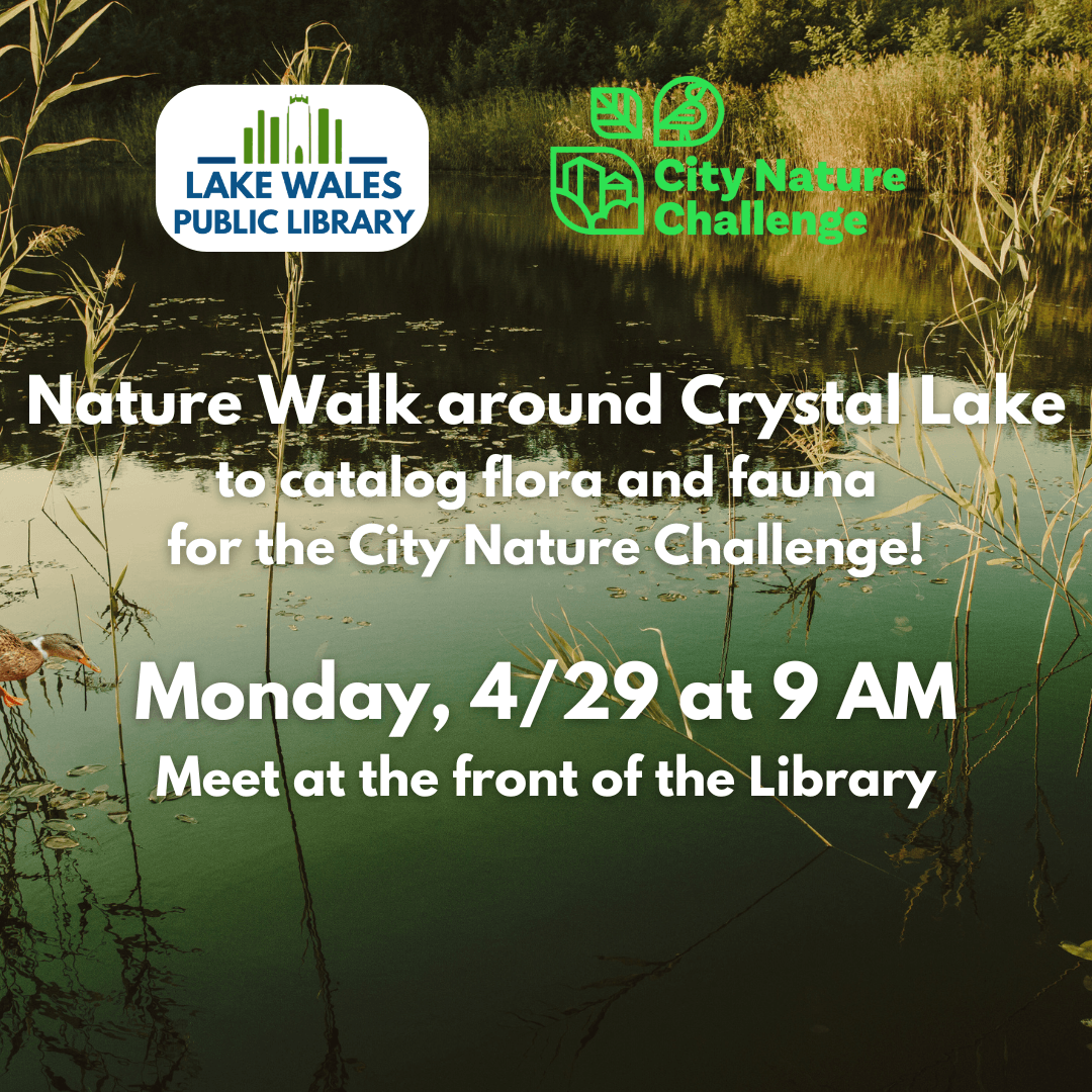 City Nature Challenge Slides (Instagram Post) (2)