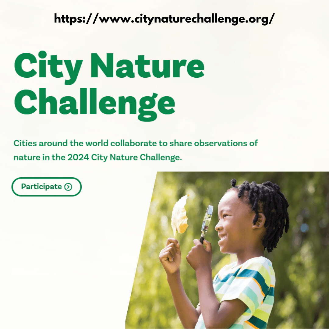 City Nature Challenge Slides (Instagram Post) (1)
