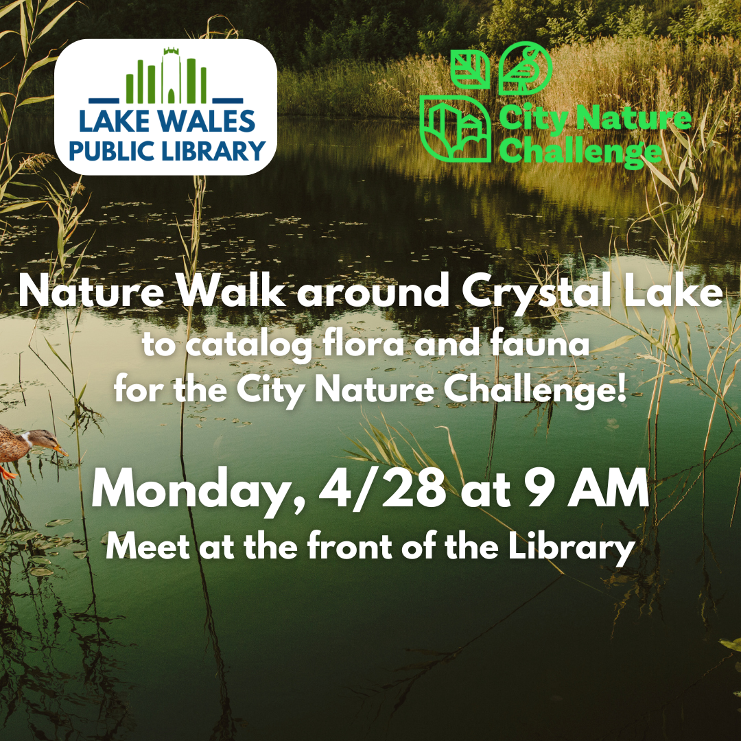 City Nature Challenge 3